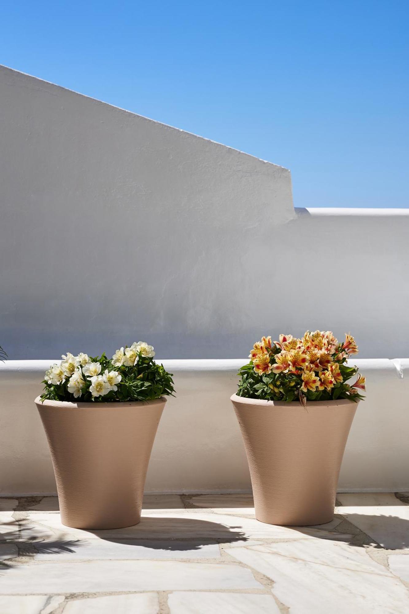 Sand Lily Villa Mykonos Mykonos Town Εξωτερικό φωτογραφία